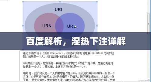 百度解析，湿热下注详解