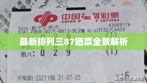 最新排列三87晒票全景解析