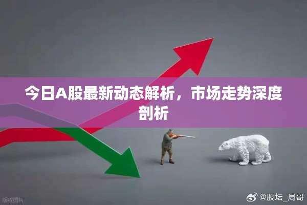 今日A股最新动态解析，市场走势深度剖析