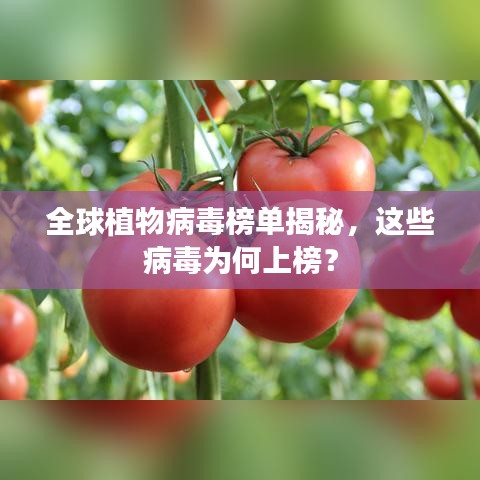 全球植物病毒榜单揭秘，这些病毒为何上榜？
