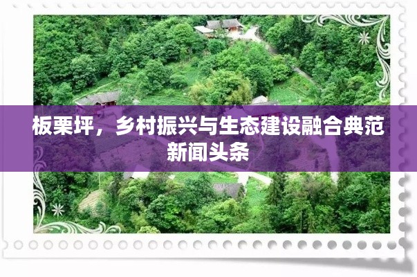 板栗坪，乡村振兴与生态建设融合典范新闻头条