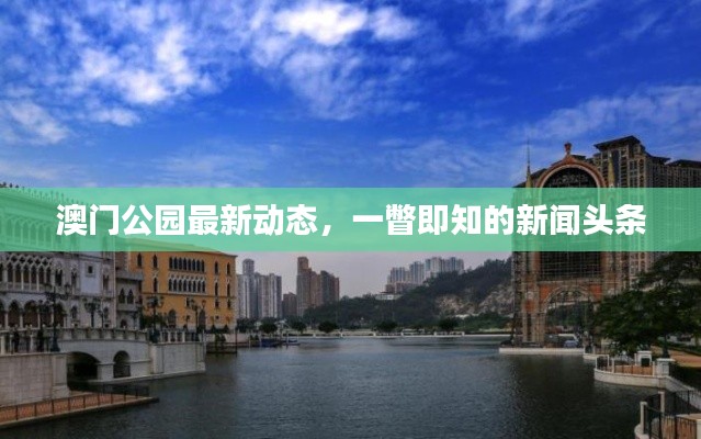 澳门公园最新动态，一瞥即知的新闻头条
