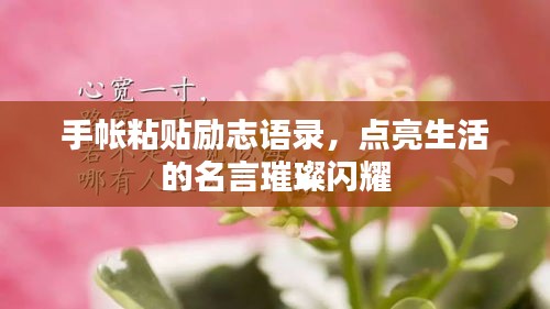 手帐粘贴励志语录，点亮生活的名言璀璨闪耀
