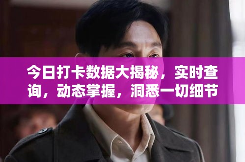 今日打卡数据大揭秘，实时查询，动态掌握，洞悉一切细节