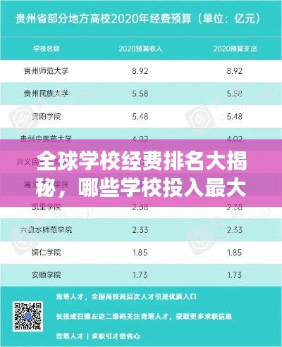 全球学校经费排名大揭秘，哪些学校投入最大？