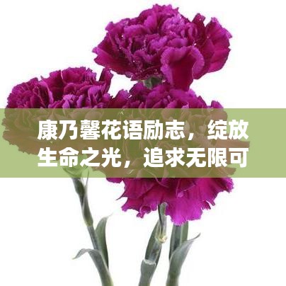 康乃馨花语励志，绽放生命之光，追求无限可能！
