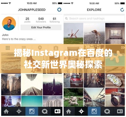 揭秘Instagram在百度的社交新世界奥秘探索