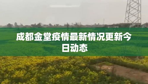成都金堂疫情最新情况更新今日动态