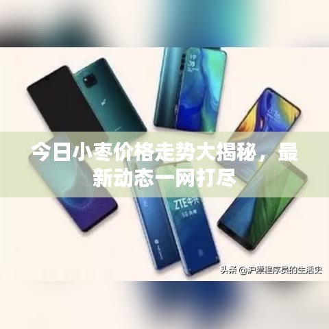 今日小枣价格走势大揭秘，最新动态一网打尽