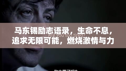 马东锡励志语录，生命不息，追求无限可能，燃烧激情与力量！
