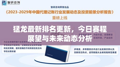 猛龙最新排名更新，今日赛程展望与未来动态分析
