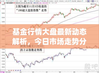 基金行情大盘最新动态解析，今日市场走势分析