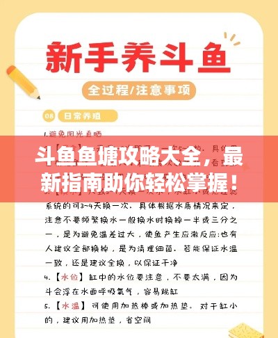 斗鱼鱼塘攻略大全，最新指南助你轻松掌握！
