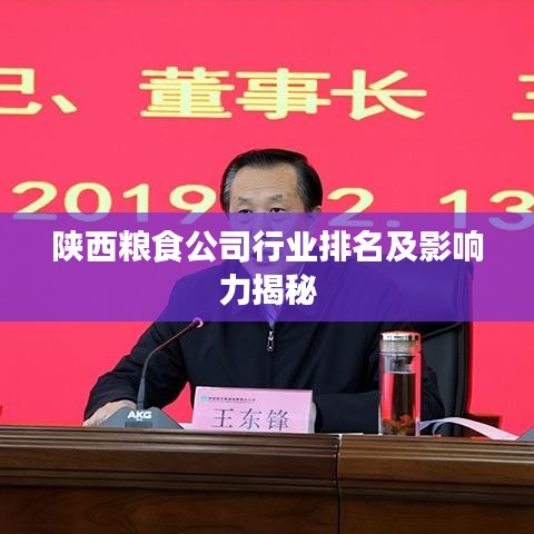 陕西粮食公司行业排名及影响力揭秘