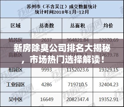 新房除臭公司排名大揭秘，市场热门选择解读！