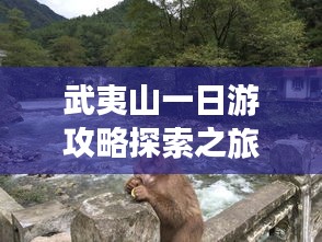 武夷山一日游攻略探索之旅