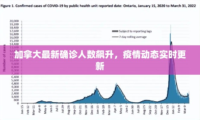 加拿大最新确诊人数飙升，疫情动态实时更新