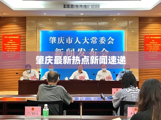 肇庆最新热点新闻速递