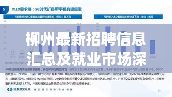 柳州最新招聘信息汇总及就业市场深度解析