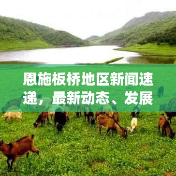 恩施板桥地区新闻速递，最新动态、发展展望